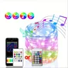 Guirlande lumineuse LED RGB-IC – vue 6