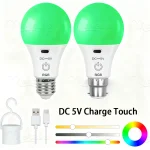 Ampoule Rechargeable 5V, télécommande, batterie RGB, couleur changeante, température, fonction minuterie variable pour lampe de Table sans fil