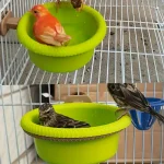 Petite baignoire Cage à oiseaux avec anneau de montage, bol en plastique vert vif pour perroquet canari, alimentation de bain, diamètre 12cm