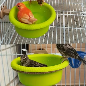 Petite baignoire Cage à oiseaux avec anneau de montage, bol en plastique vert vif pour perroquet canari, alimentation de bain, diamètre 12cm Petite baignoire Cage à oiseaux avec anneau de montage, bol en plastique vert vif pour perroquet canari, alimentation de bain, diamètre 12cm
