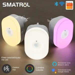 WiFi Tuya Smart Led veilleuse PIR capteur de mouvement Eu Us Uk brancher applique murale blanc chaud RGB chambre App voix pour Alexa Google Home WiFi Tuya Smart Led veilleuse PIR capteur de mouvement Eu Us Uk brancher applique murale blanc chaud RGB chambre App voix pour Alexa Google Home