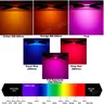 1W 3W 5W chaud naturel blanc froid Led puces ampoule… – vue 6