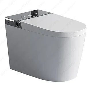 Bidet Intelligent pour Toilette à Eau spatirée