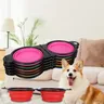 Bol pour chien 2 en 1 – vue 2