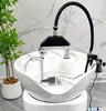 Robinet d'eau de Spa de tête Mobile de Circulation de… – vue 2