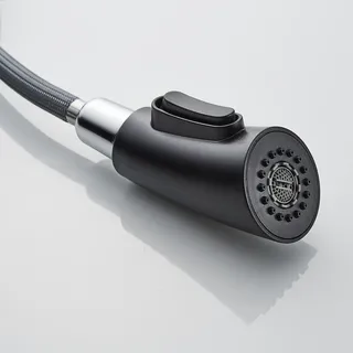 Pommeau de douche G 1/2 '