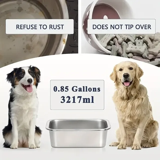 Un bol pour chien en acier inoxydable de grande capacité – vue 4