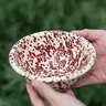 Bol en porcelaine Style Instagram – vue 5