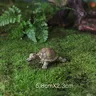Figurines de tortue artificielle en résine – vue 5