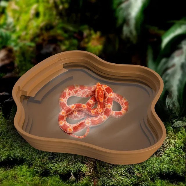 Bassin solide pour tortue – vue 5