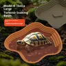 Bassin de bain tortue grenouille avec rampe…