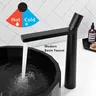 Robinets en cuivre modernes pour bassin noir – vue 4