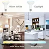Ampoule LED Blanc Froid et Chaud pour Projecteur – vue 5