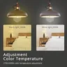 Zemismart-Ampoule à Filament LED WiFi – vue 5