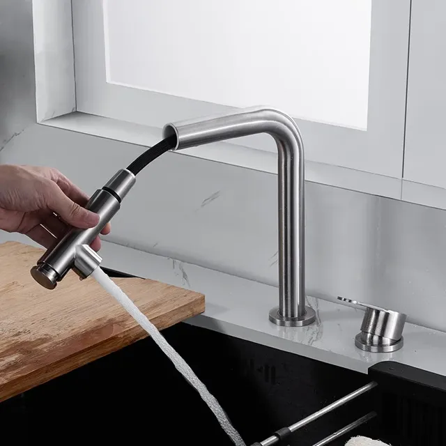Pulvérisateur extractible – vue 3