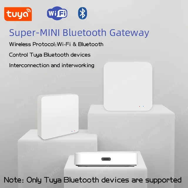 Tuya – vue 2