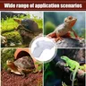 Bol d'eau de piscine de bain tortues avec antidérapant… – vue 4