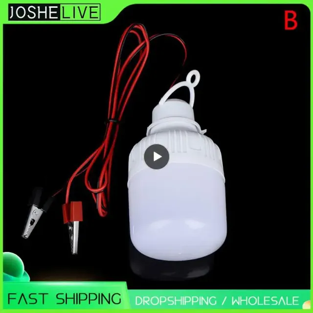 Ampoule LED avec pince crocodile pour batterie 12 volts
