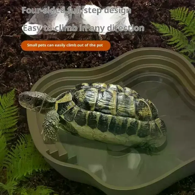 Bassin de bain tortue grenouille avec rampe antidérapante
