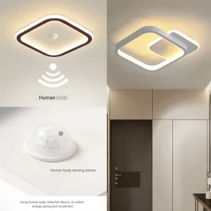 Plafonnier LED intelligent DINDALLED avec capteur de mouvement marche/arrêt automatique 85-265V pour couloir couloir entrée éclairage à économie d&rsquo;énergie