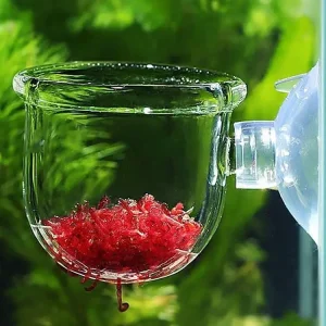 Bassin de tasse d’herbe d’eau bassin d’herbe d’eau acrylique avec ventouse aquarium support de plante d’aquarium tasse d’herbe d’eau aquarium Bassin de tasse d’herbe d’eau bassin d’herbe d’eau acrylique avec ventouse aquarium support de plante d’aquarium tasse d’herbe d’eau aquarium