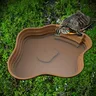 Bassin solide pour tortue – vue 4