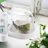 Bain de litière et bac à litière 2 en 1 le plus vendu… – vue 6