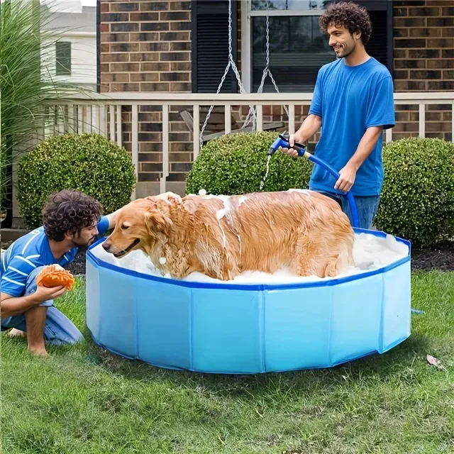 Baignoire bleue pour chien