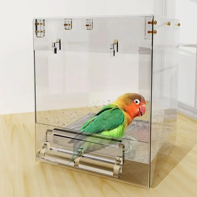 Lovebirds – vue 4