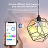 EWeLink Zigbee WIFI ampoule intelligente à intensité… – vue 4