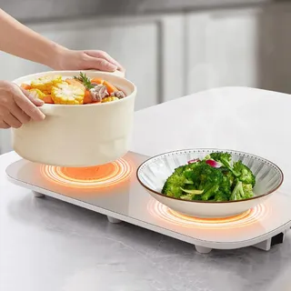 Wskins-Chauffe-plats électrique à température constante
