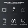 Télécommande intelligente 12V 300A – vue 5