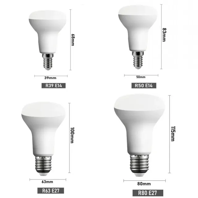 Ampoule LED Blanc Froid et Chaud pour Projecteur – vue 2