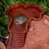 Bol d'eau de piscine de bain tortues avec antidérapant… – vue 1