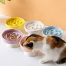 Bol de nourriture lente en céramique pour chat – vue 3