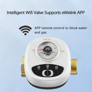 Vanne intelligente pour maison intelligente DN15 DN20 DN25