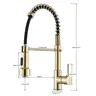 Robinet de cuisine en or brossé – vue 5