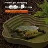 Bassin de bain tortue grenouille avec rampe antidérapante – vue 2