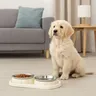 Double bol élégant en acier inoxydable pour animaux de… – vue 4