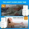 IMOU WiFi ampoule intelligente lumière LED à intensité… – vue 6