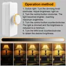 Variateur de Lampe LED avec Bouton de Commande Intégré – vue 4
