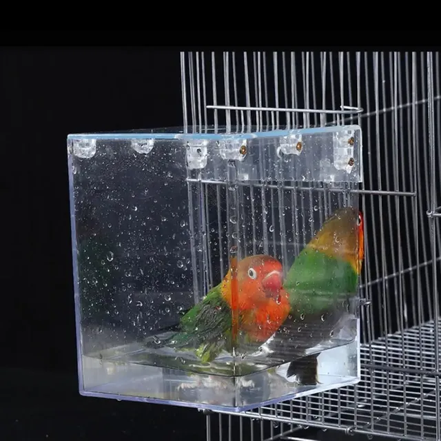 Lovebirds – vue 2