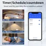 Commutateur intelligent Wifi fonctionne avec Alexa… – vue 5