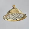 Pommeau de douche Antique à pluie – vue 4