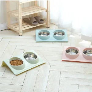 Bol pour animaux de compagnie, prévention des déversements, double bol, conception en acier inoxydable, Table d&rsquo;alimentation en eau pour chat et chien