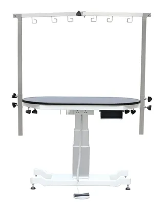 Table toilettage électrique professionnelle pliable acier inoxydable…