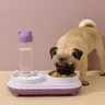 Double bol antidérapant anti-déversement pour chat – vue 5