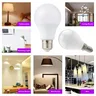 Ampoule LED E14 – vue 6