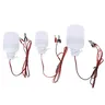 Ampoule LED avec pince crocodile pour batterie 12 volts – vue 5