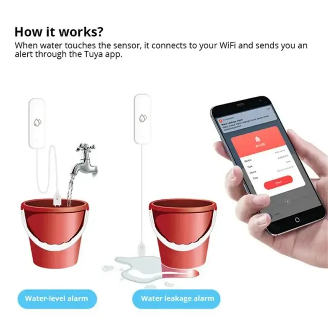 Tuya – vue 6